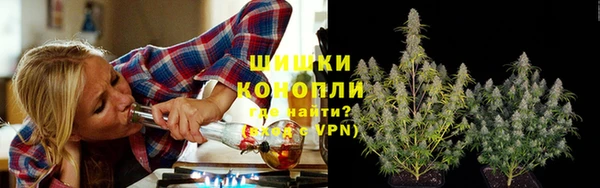 PSILOCYBIN Богданович