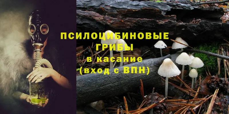 Псилоцибиновые грибы Psilocybe  дарк нет формула  Безенчук 